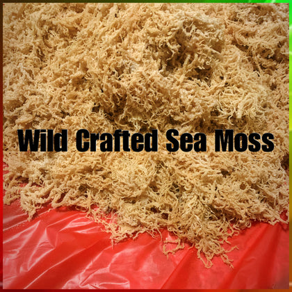 Wild Crafted Organic Sea Moss